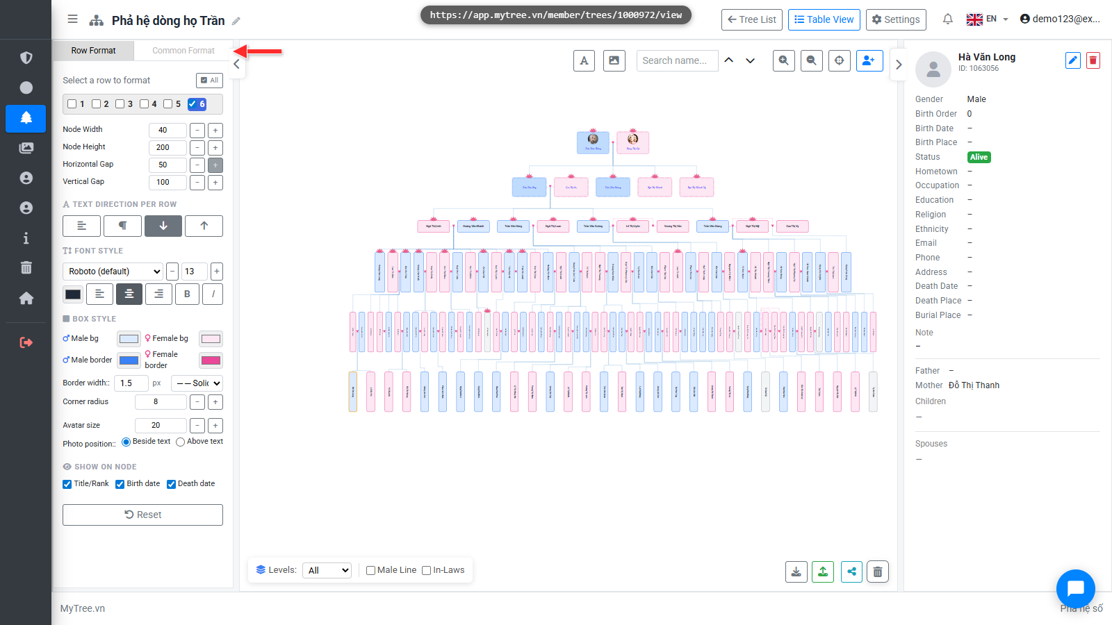 Common Format Tab
