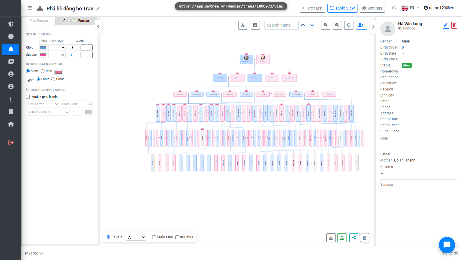 Common Format Tab